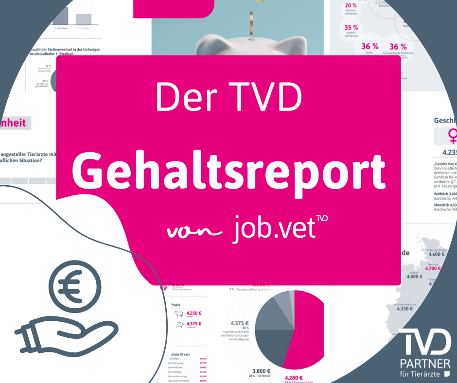  Gehaltsreport 2024 für angestellte Tierärzte: Eine Analyse des Status Illustration 